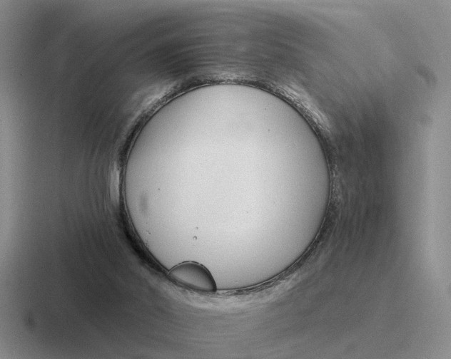 X0000116670014201001041138