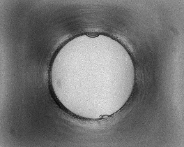 X0000116670015201001041138