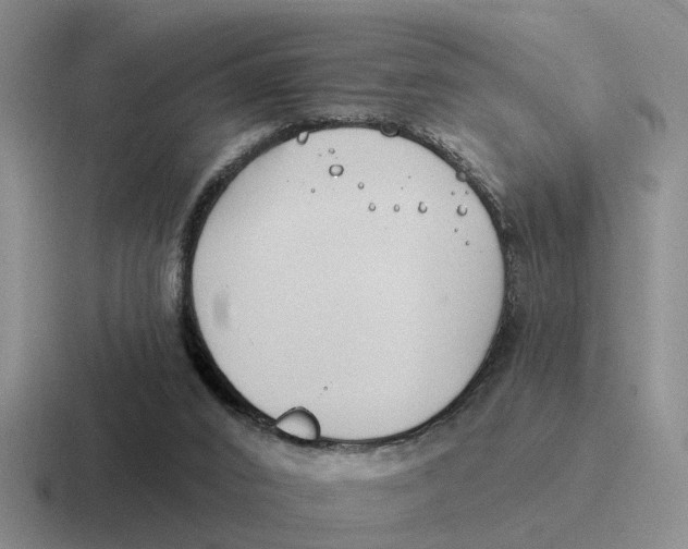 X0000116670016201001041138