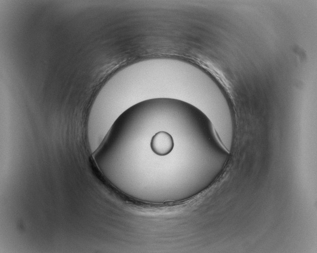 X0000116670017201001041138