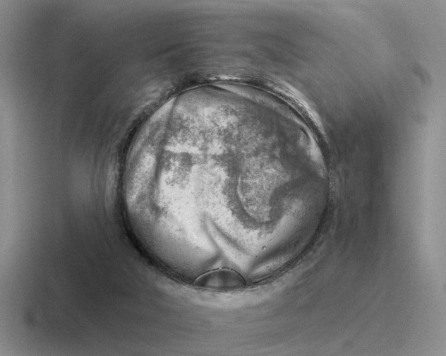 X0000116670018201001041138