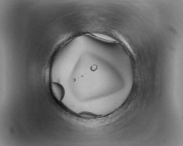 X0000116670019201001041138