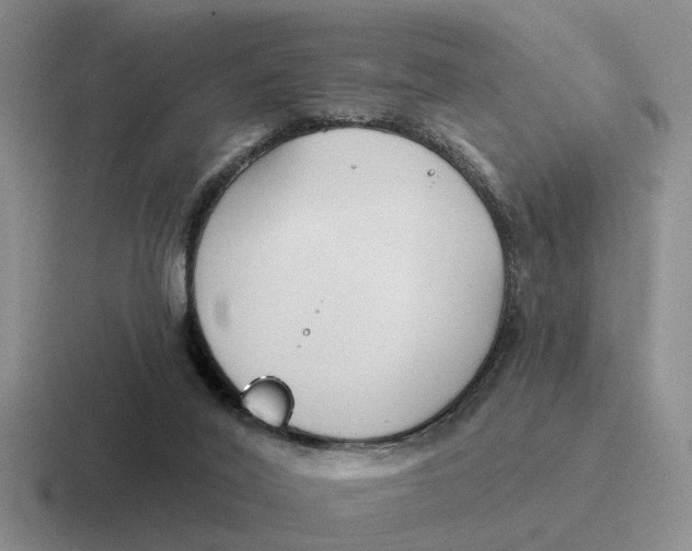 X0000116670020201001041138