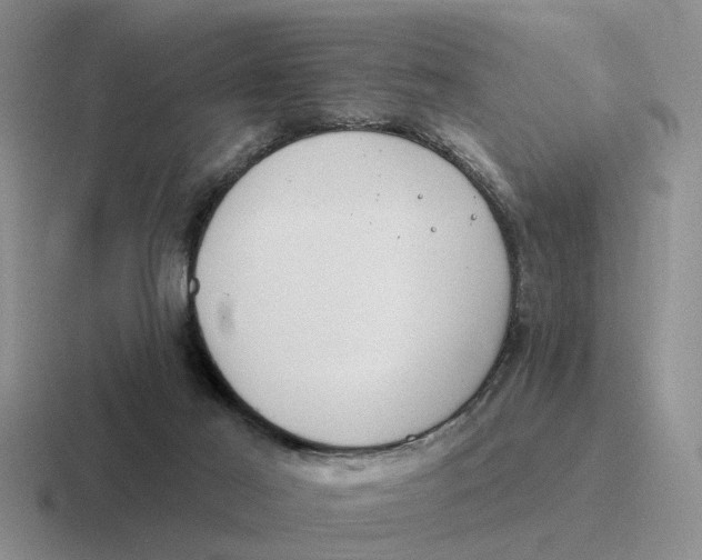 X0000116670021201001041138