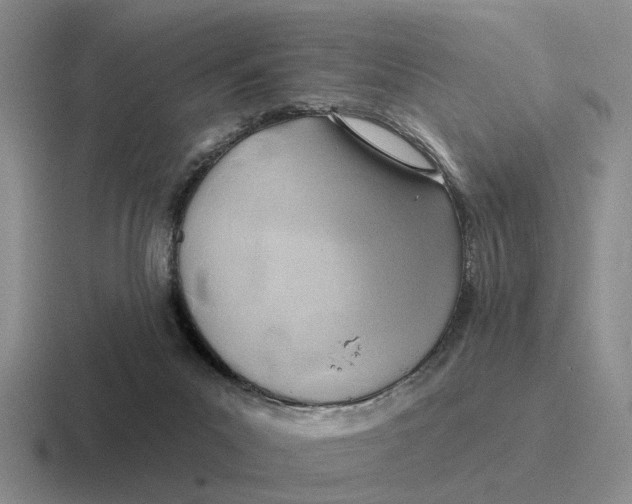 X0000116670023201001041138