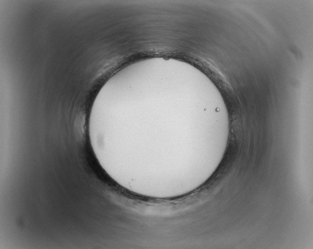 X0000116670024201001041138