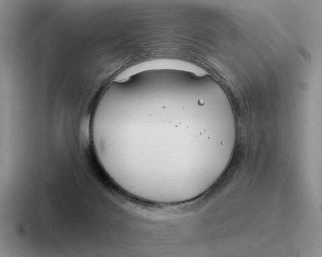 X0000116670028201001041138