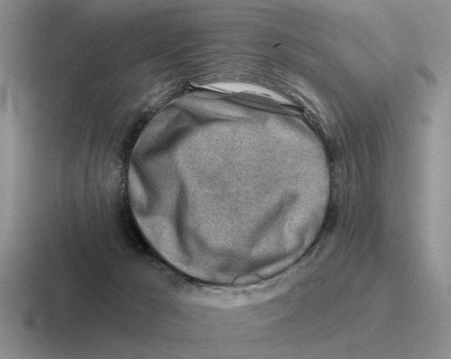 X0000116670029201001041138