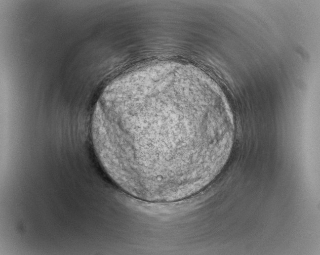 X0000116670030201001041138