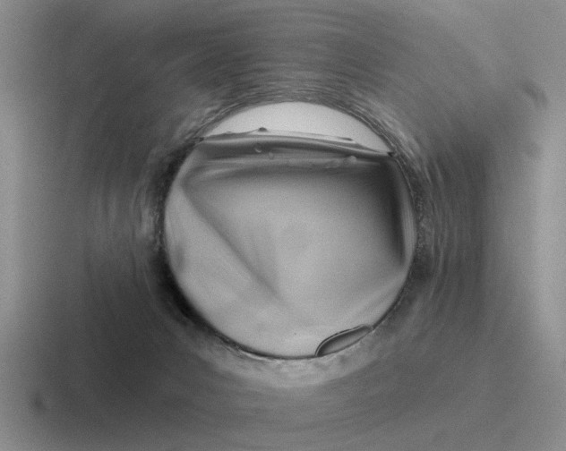 X0000116670031201001041138