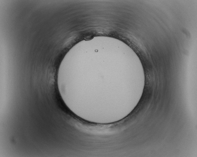 X0000116670032201001041138