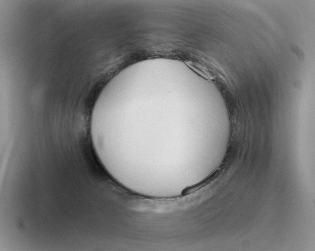 X0000116670033201001041138