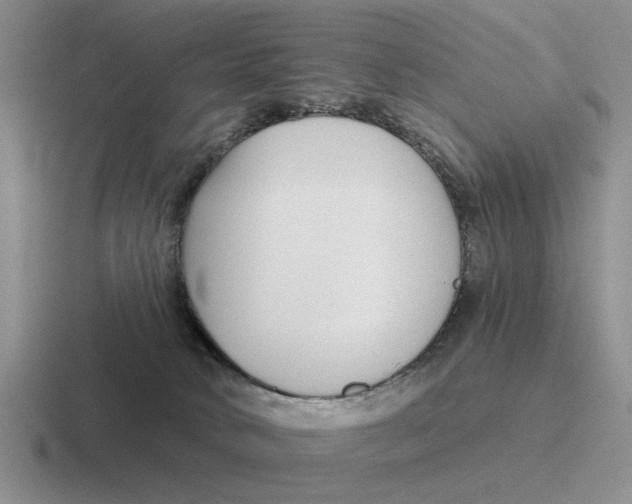 X0000116670034201001041138