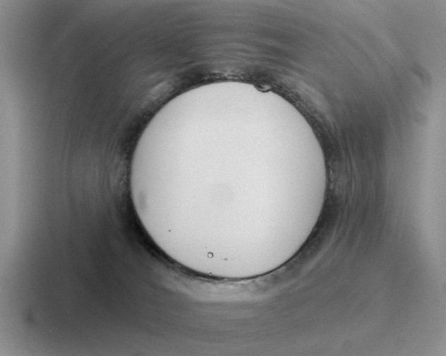 X0000116670036201001041138