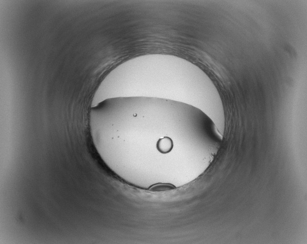 X0000116670043201001041138