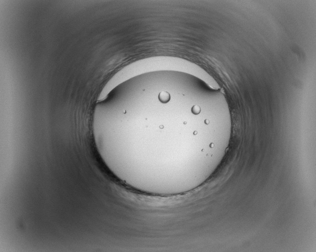 X0000116670044201001041138