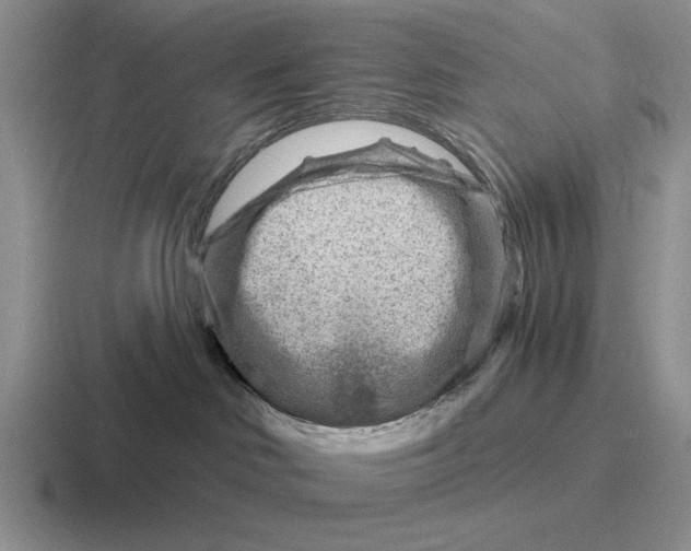 X0000116670046201001041138