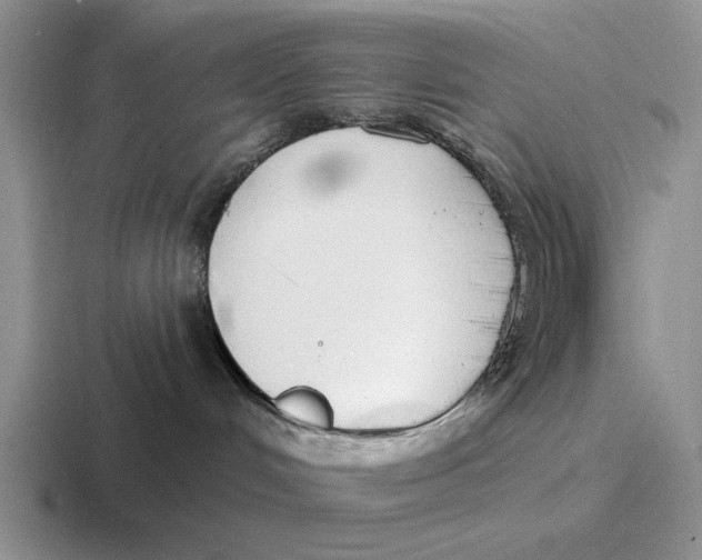 X0000116670048201001041138