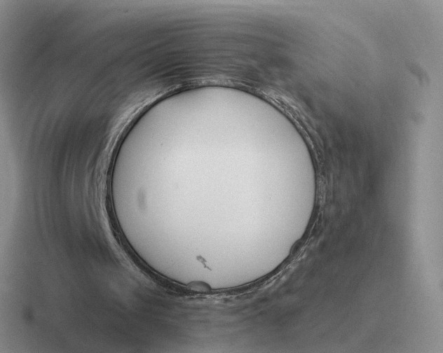 X0000116670049201001041137