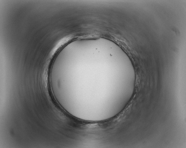 X0000116670054201001041137