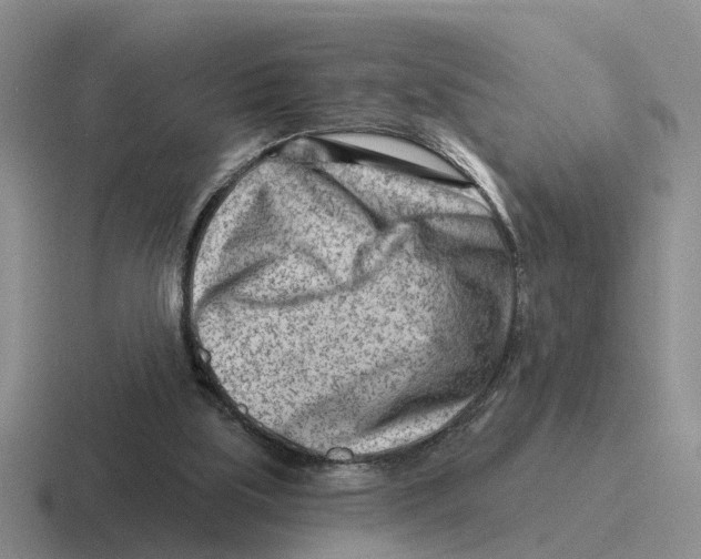 X0000116670059201001041137