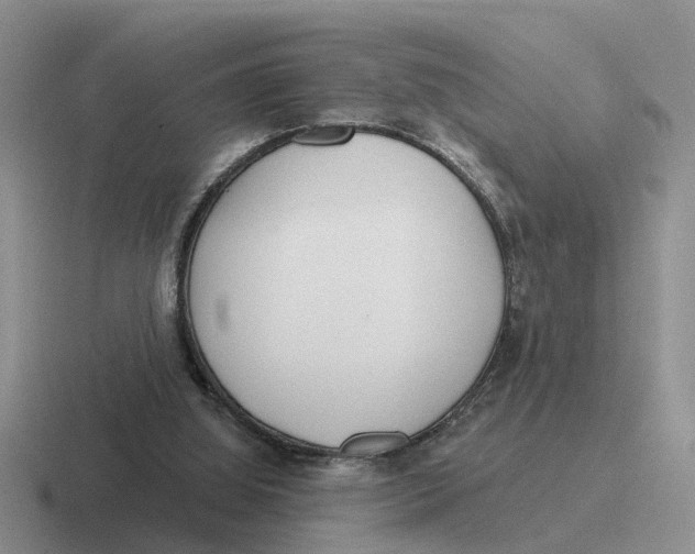 X0000116670060201001041137