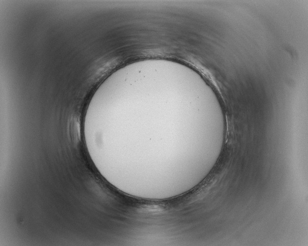 X0000116670061201001041137