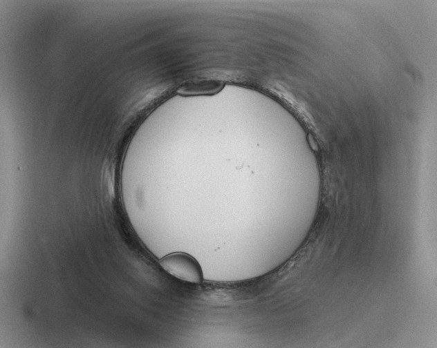 X0000116670062201001041137