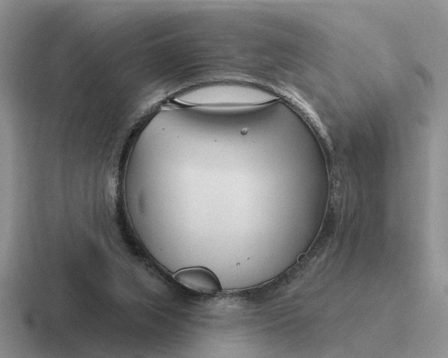 X0000116670063201001041137