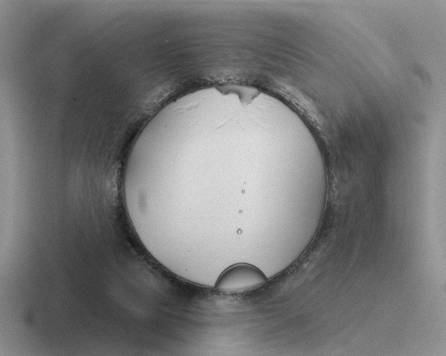 X0000116670065201001041137