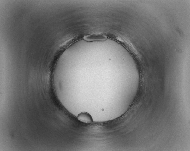 X0000116670066201001041137