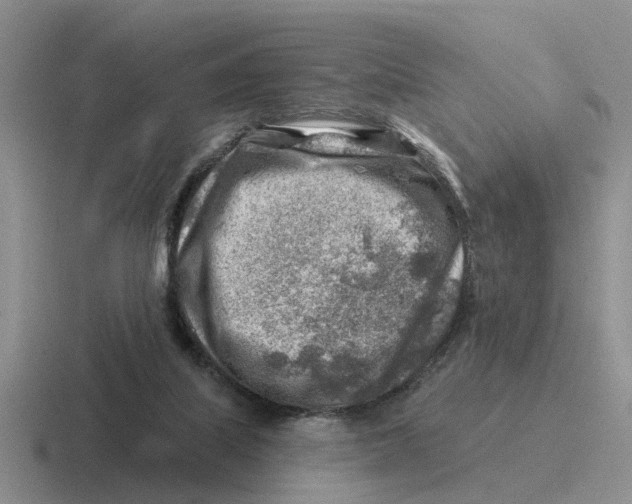 X0000116670067201001041137