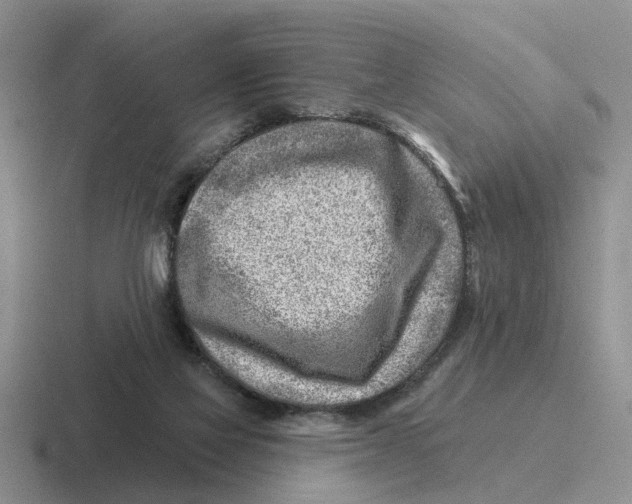 X0000116670069201001041137