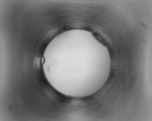 X0000116670070201001041137