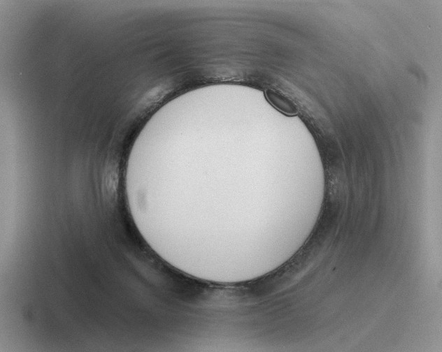 X0000116670072201001041137