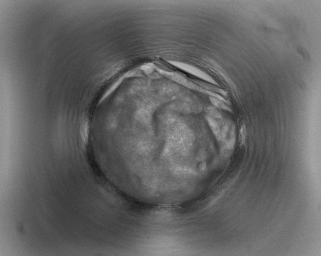 X0000116670076201001041137