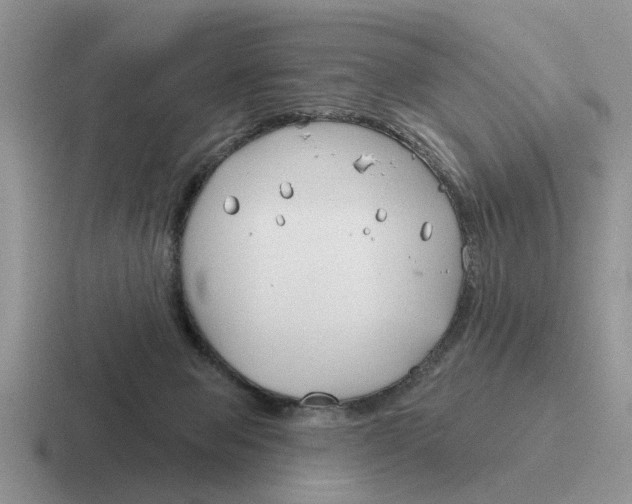 X0000116670077201001041137