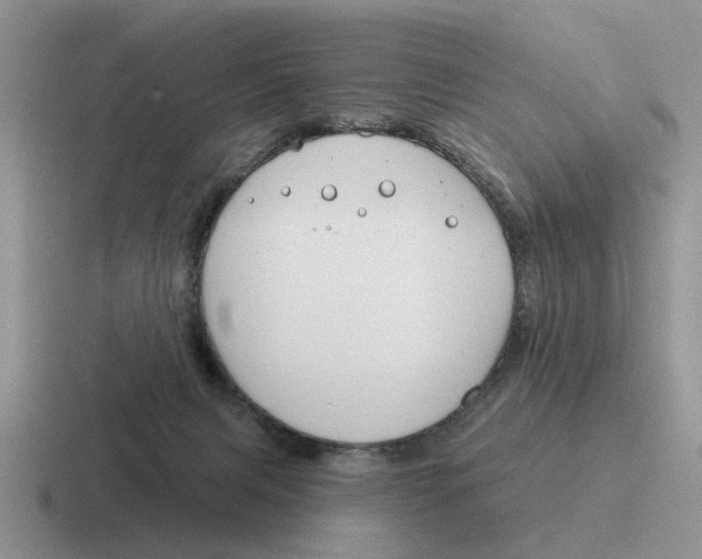 X0000116670079201001041137