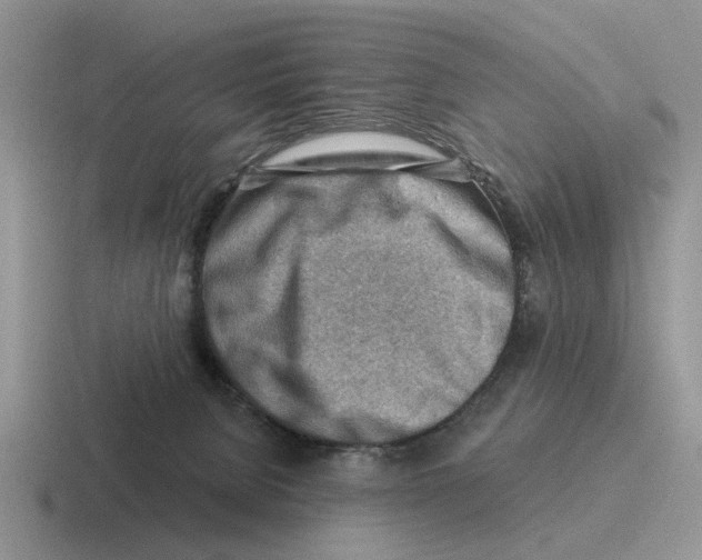 X0000116670080201001041137