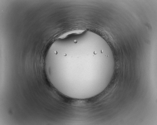 X0000116670081201001041137