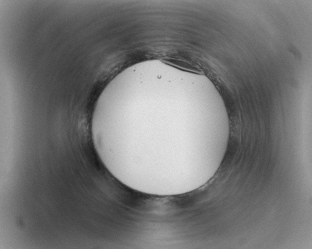 X0000116670086201001041137