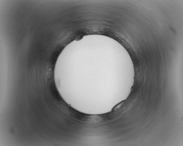 X0000116670087201001041137