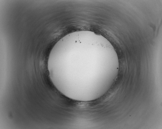 X0000116670088201001041137