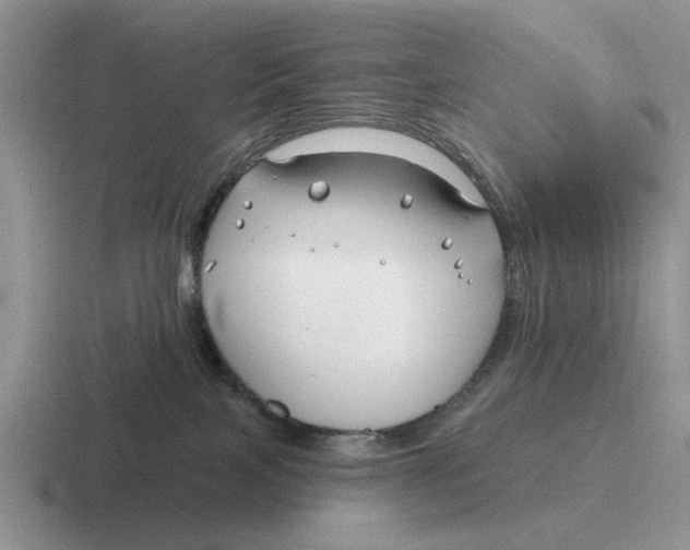 X0000116670089201001041138