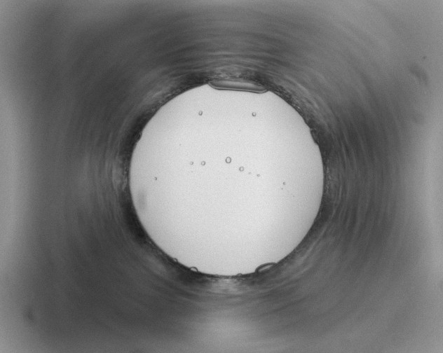 X0000116670091201001041138