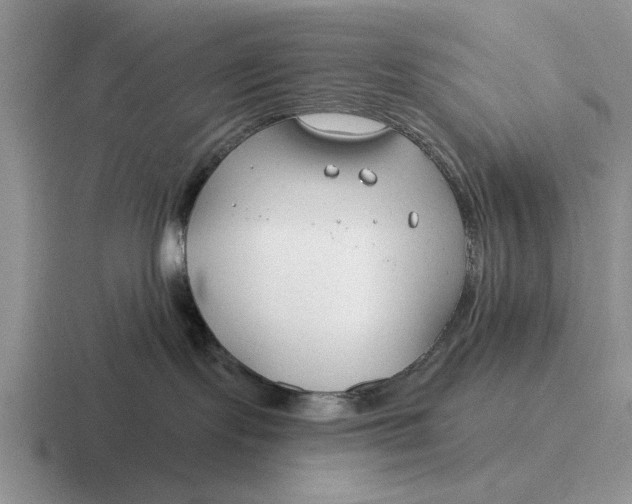 X0000116670095201001041138