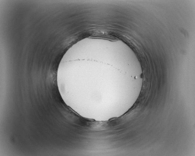 X0000116670096201001041138