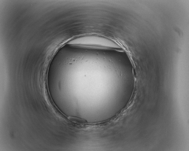 X0000116670097201001041137