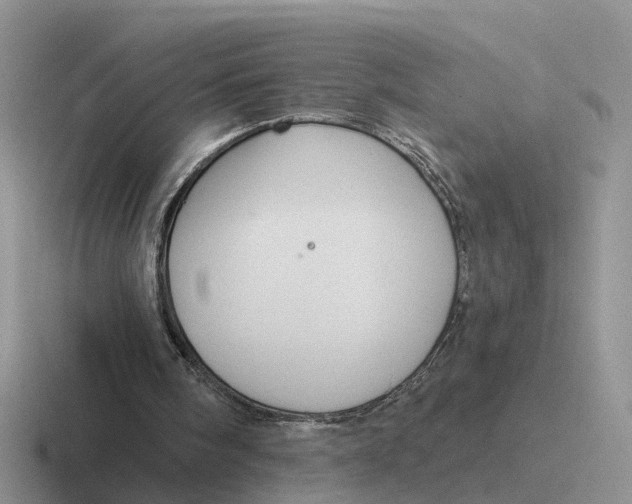 X0000116670098201001041137