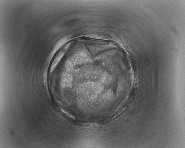 X0000116670099201001041137